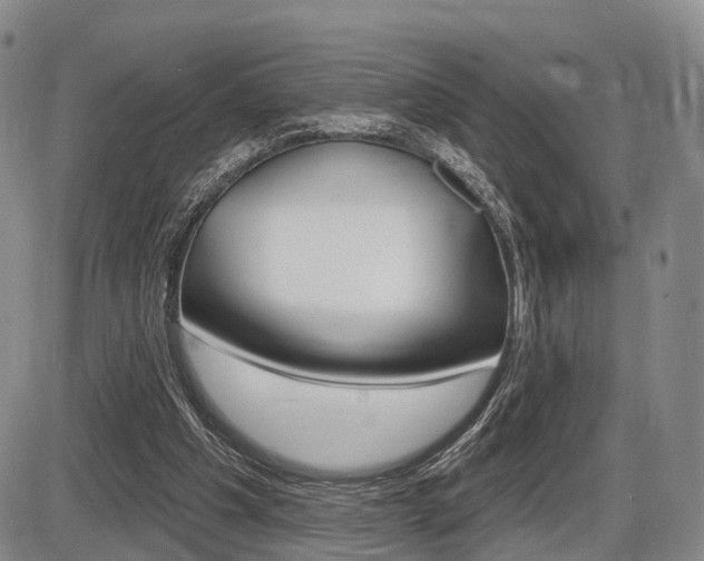 X0000086270201200703291045