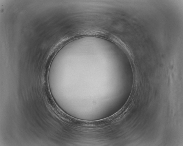 X0000086270203200703291045