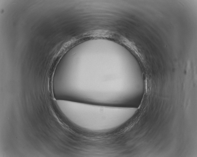 X0000086270205200703291045