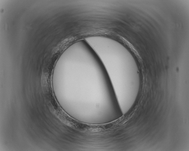 X0000086270209200703291045