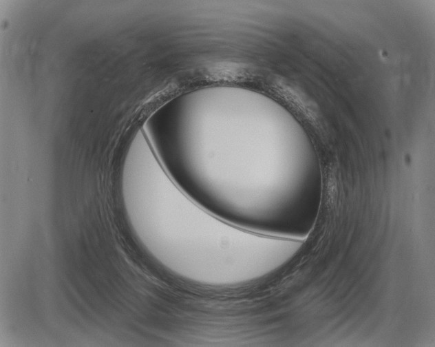 X0000086270211200703291045