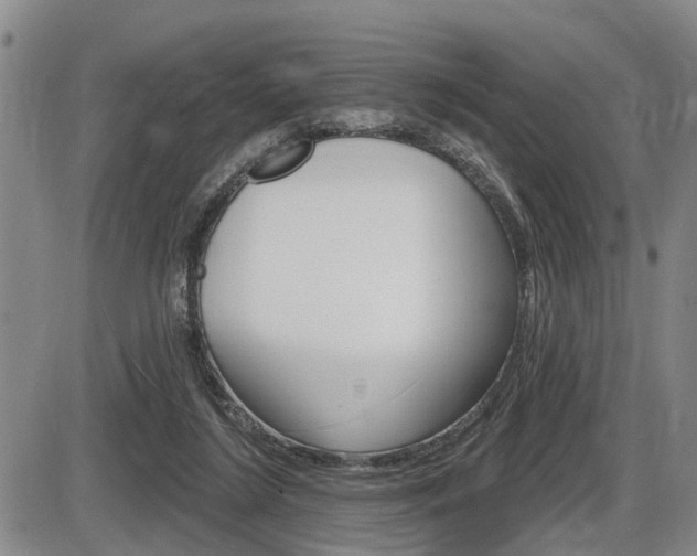 X0000086270212200703291045