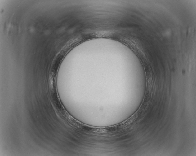 X0000086270214200703291045