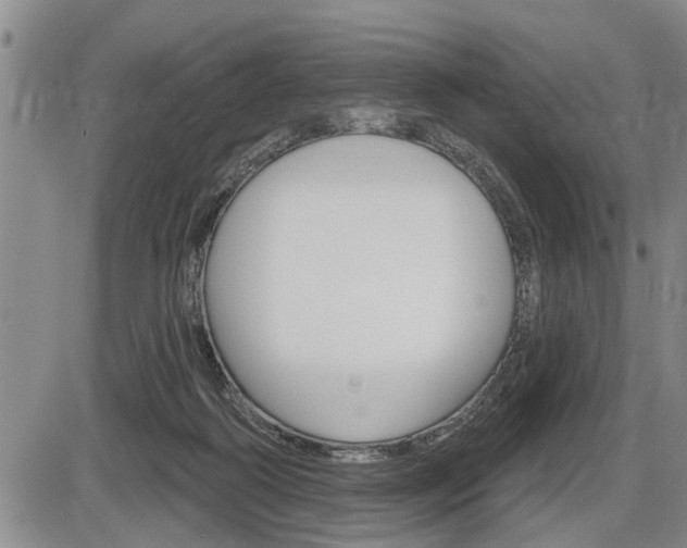X0000086270218200703291045