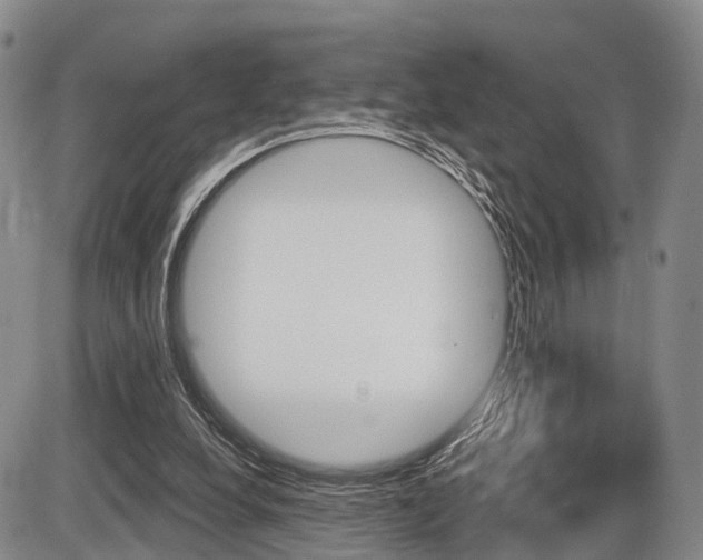 X0000086270248200703291044