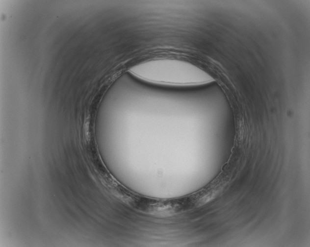 X0000086270267200703291044