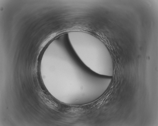 X0000086270292200703291044