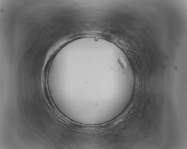 X0000086270294200703291044