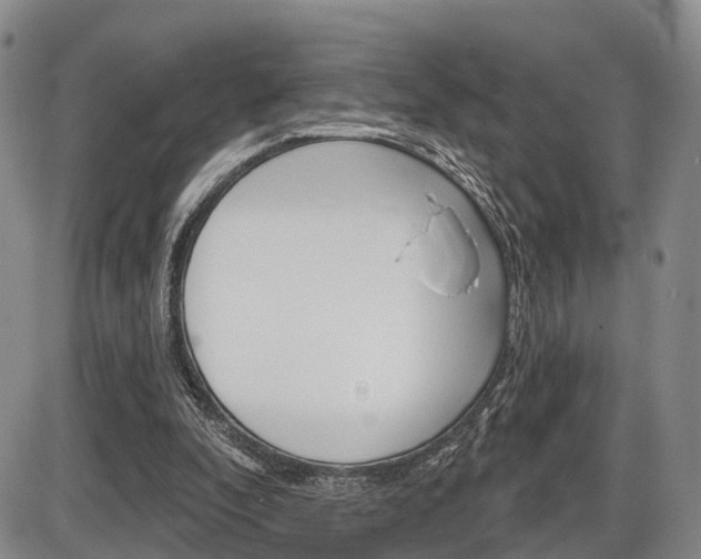 X0000086270296200703291044