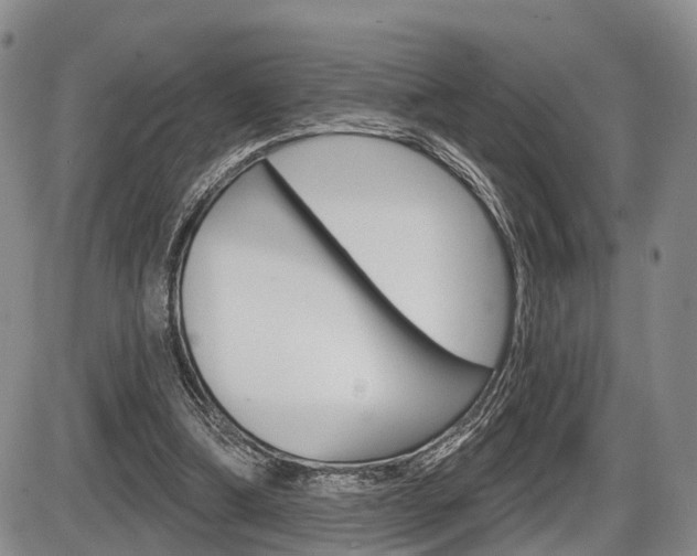 X0000086270298200703291044