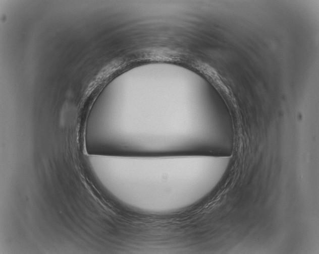 X0000086270299200703291044