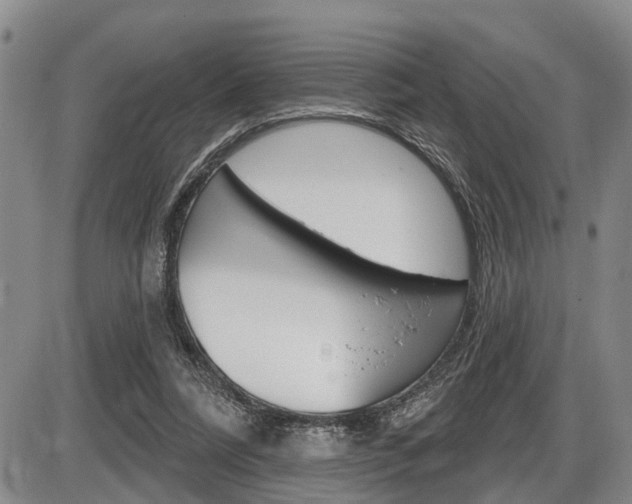 X0000086270304200703291044