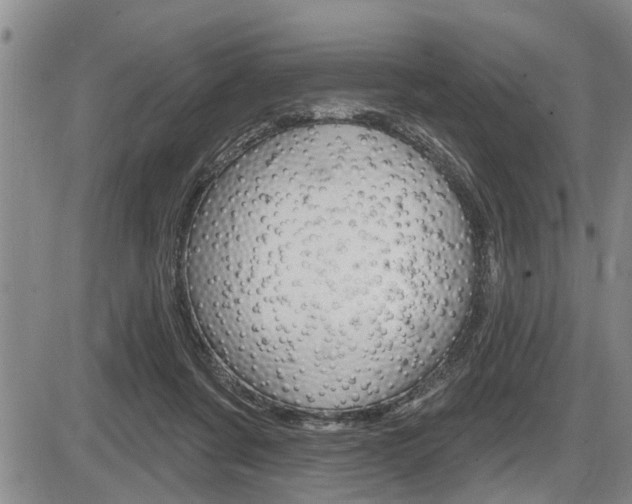 X0000086270311200703291044