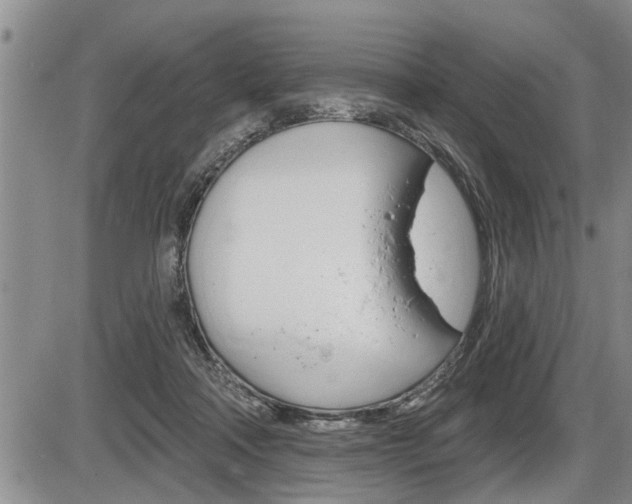 X0000086270314200703291044