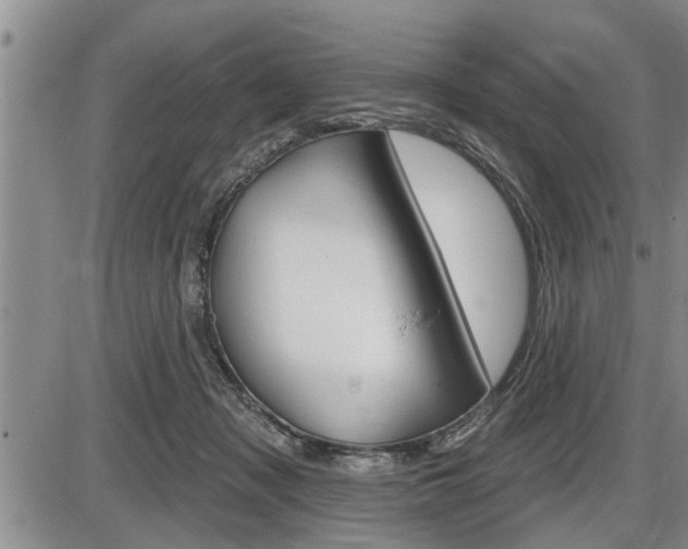 X0000086270317200703291044
