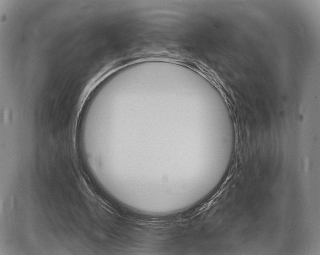 X0000086270344200703291043