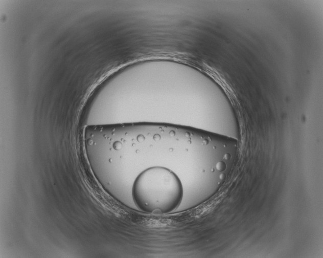 X0000086270346200703291043