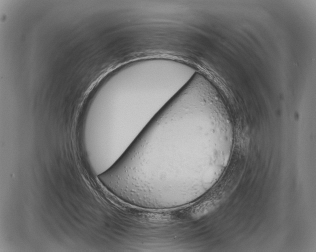 X0000086270347200703291043