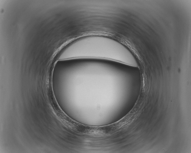 X0000086270348200703291043