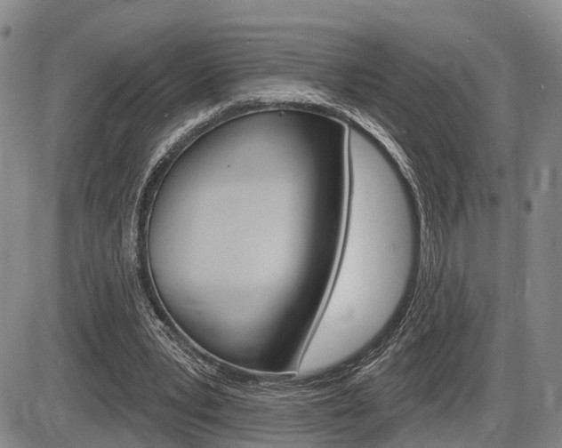 X0000086270391200703291042