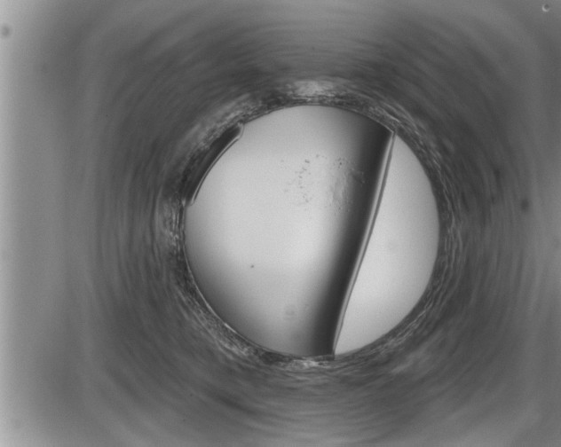X0000086270421200703291042
