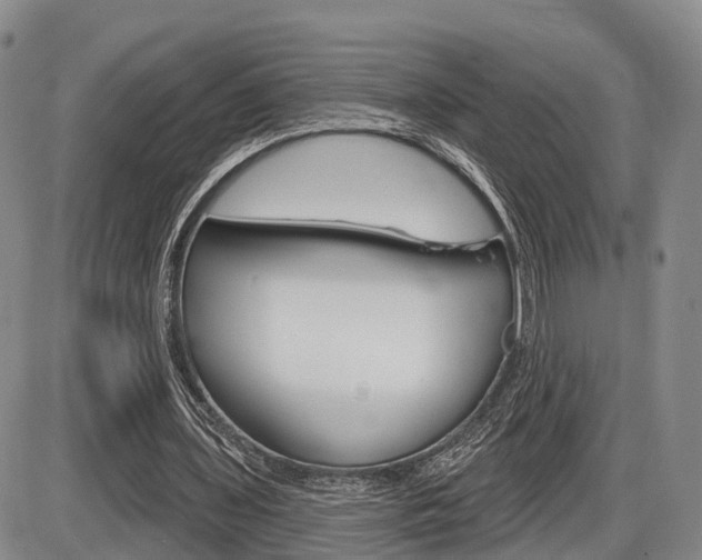 X0000086270435200703291041