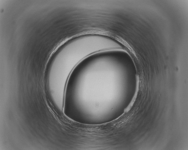 X0000086270436200703291041