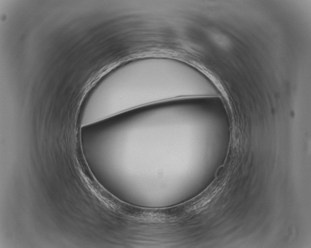 X0000086270437200703291041