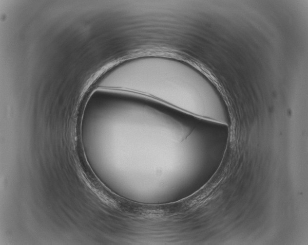 X0000086270438200703291041