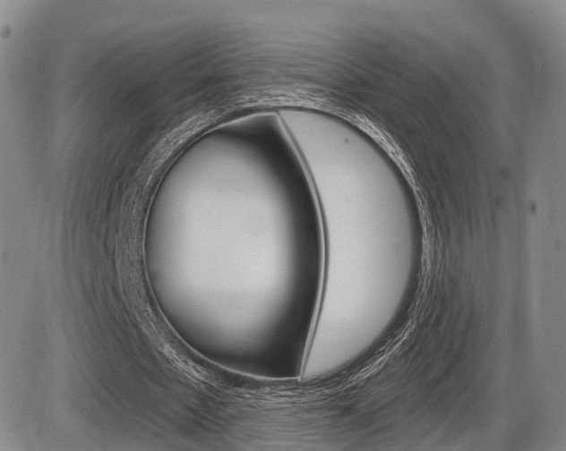 X0000086270481200703291041