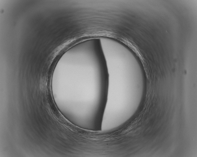 X0000086270483200703291041