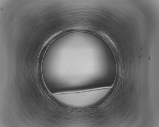 X0000086270484200703291041