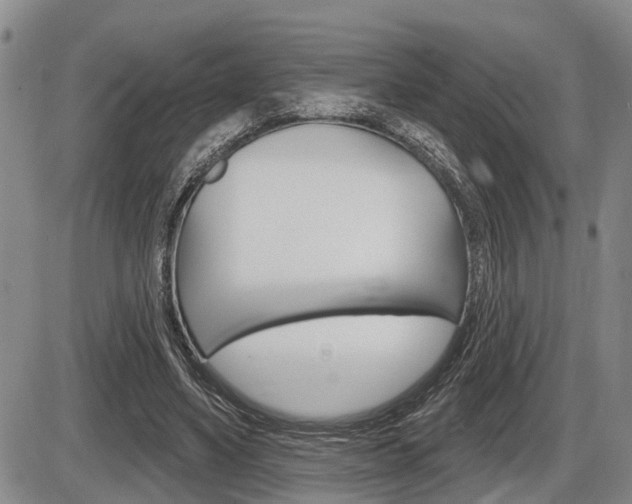 X0000086270491200703291041