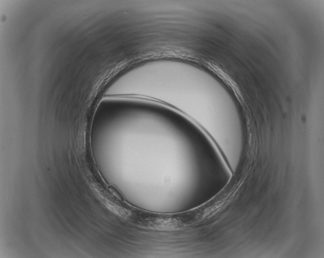 X0000086270493200703291041