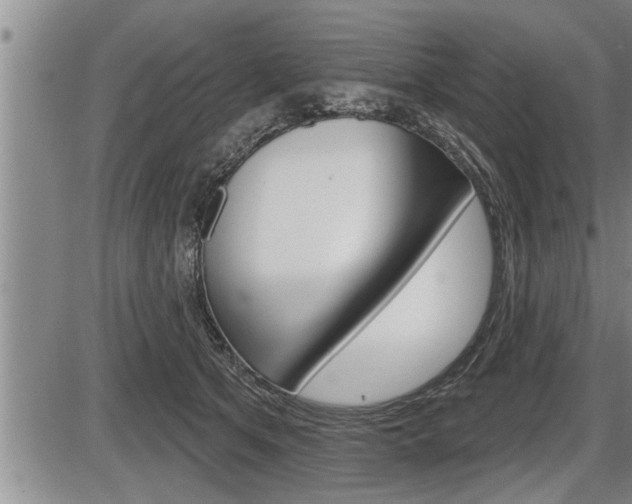 X0000086270513200703291040