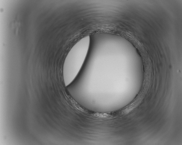 X0000086270528200703291040