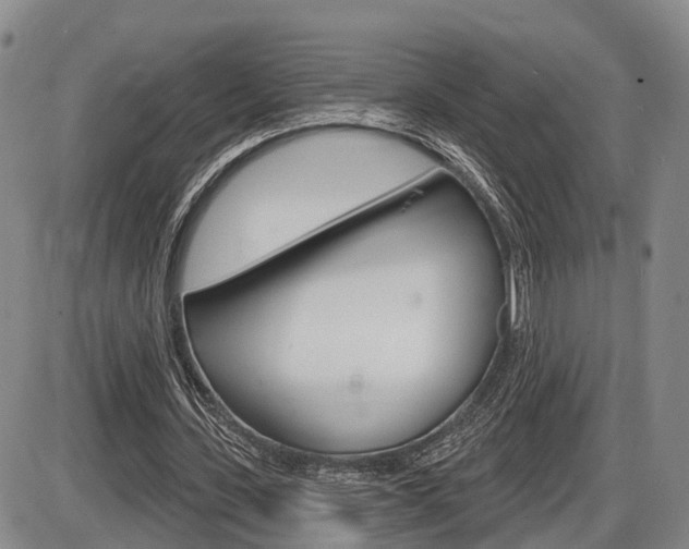 X0000086270531200703291039