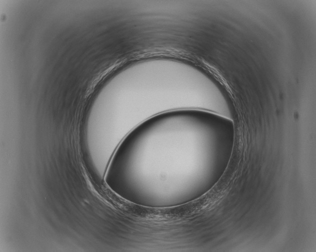 X0000086270538200703291039