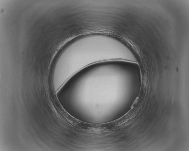 X0000086270540200703291039