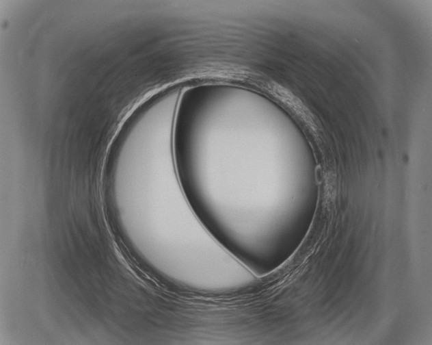 X0000086270580200703291039