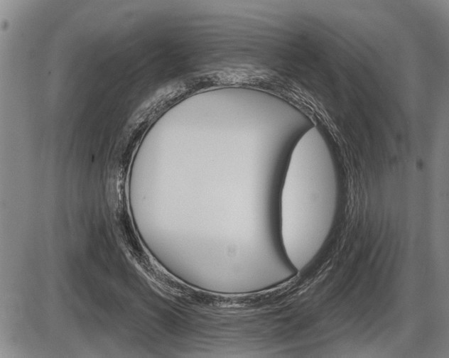 X0000086270590200703291039