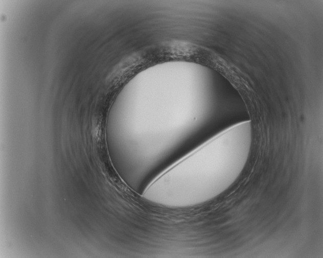 X0000086270608200703291039