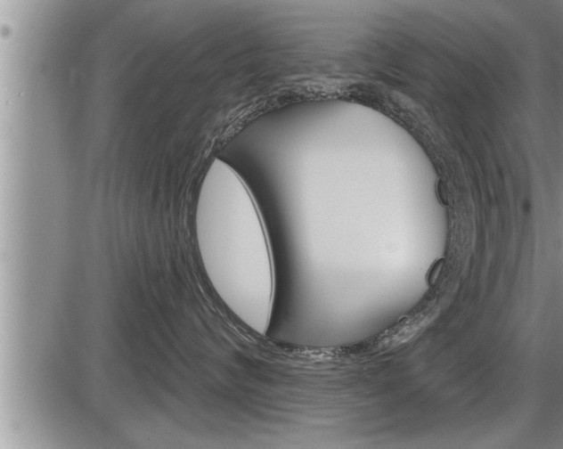 X0000086270624200703291038