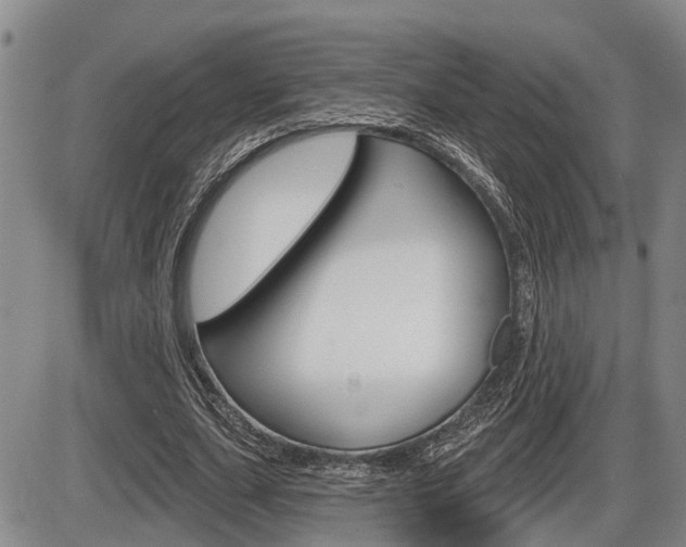 X0000086270631200703291038