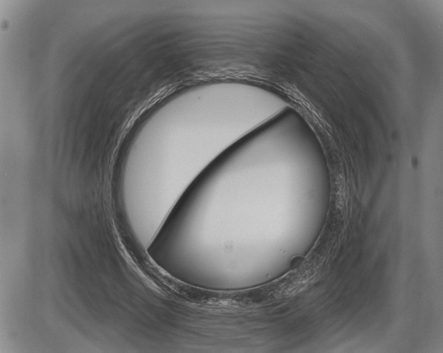X0000086270634200703291038