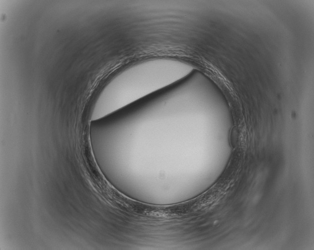 X0000086270635200703291038