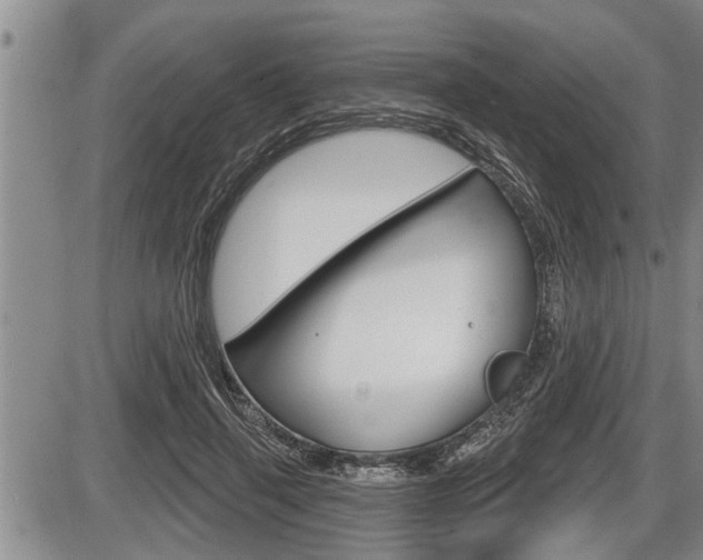 X0000086270645200703291038