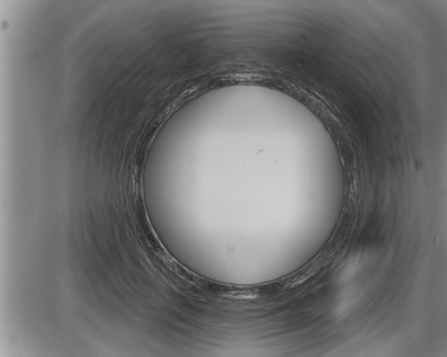 X0000086270651200703291038
