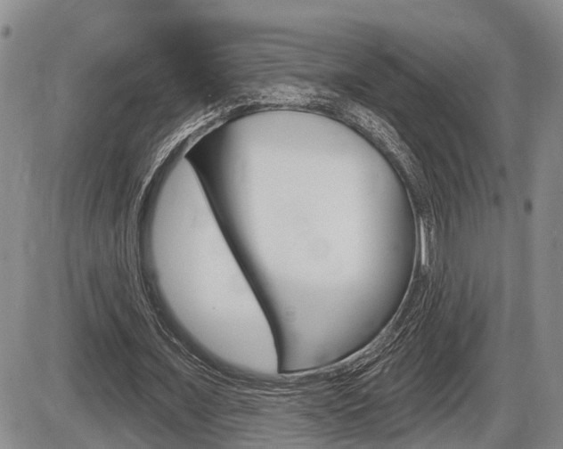 X0000086270675200703291037