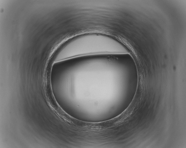 X0000086270676200703291037